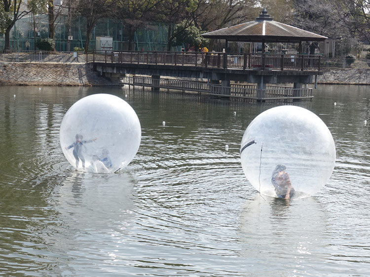 隼人池公園の貸しボートがウォーターボールになってる件。 ｜ 名古屋情報通