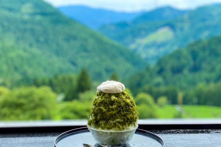 標高700mから眺める絶景！愛知県東栄町『茶禅一』で味わう雲上のかき氷