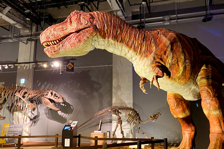 ティラノサウルス展～ T.rex 驚異の肉食恐竜～』名古屋市科学館で2021 