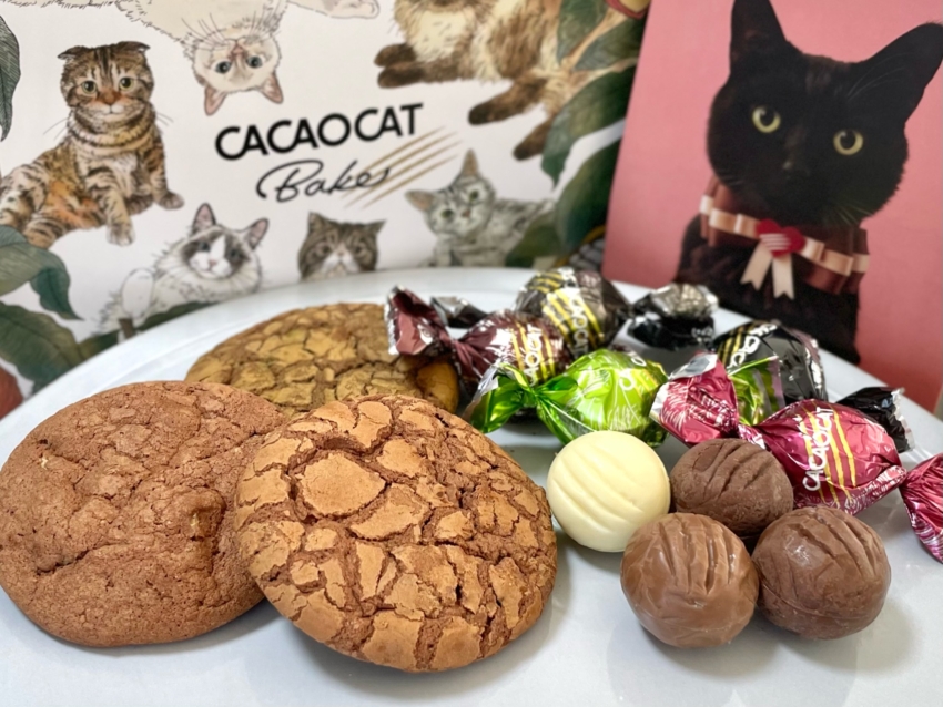 猫に囲まれる夢のチョコレート専門店『カカオキャット』名古屋初店舗が
