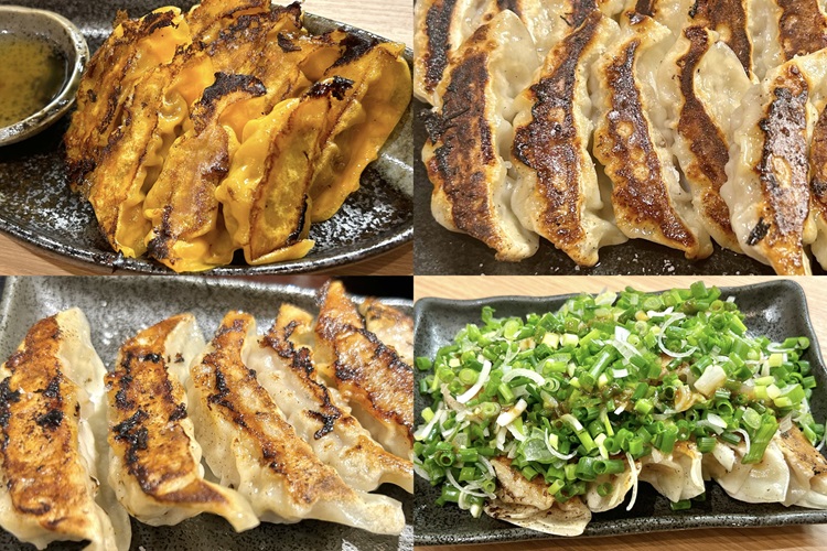 閉店】種類豊富な餃子と沖縄料理の専門店『沖縄酒場 島ぎょうざ