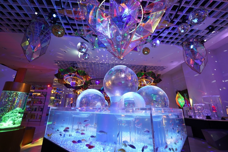 宇宙を旅する新感覚の水族館『UNDER WATER SPACE NAGOYA』mozoワンダー
