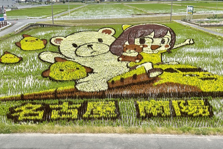 ぴよりん、ヒマリとくま、ドクターイエローの田んぼアートが港区西茶屋