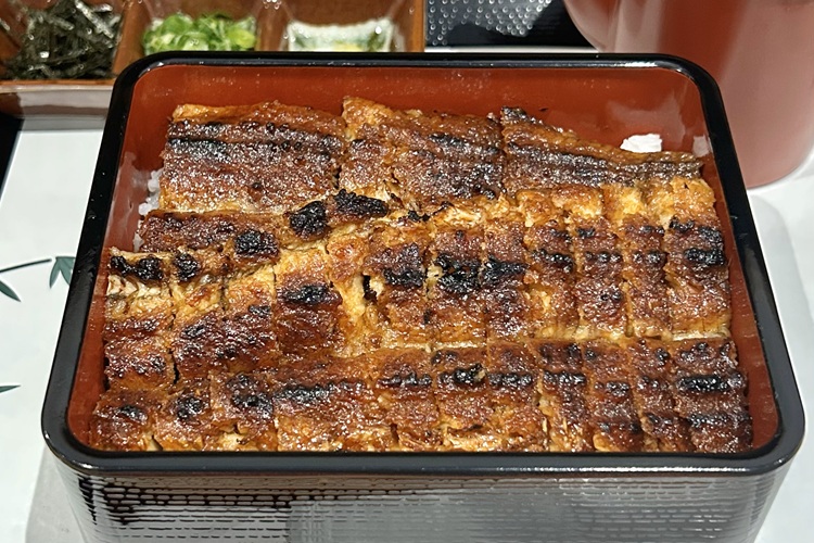 鰻問屋直営の格安うなぎ専門店『うな祥』中村区・太閤通にオープン