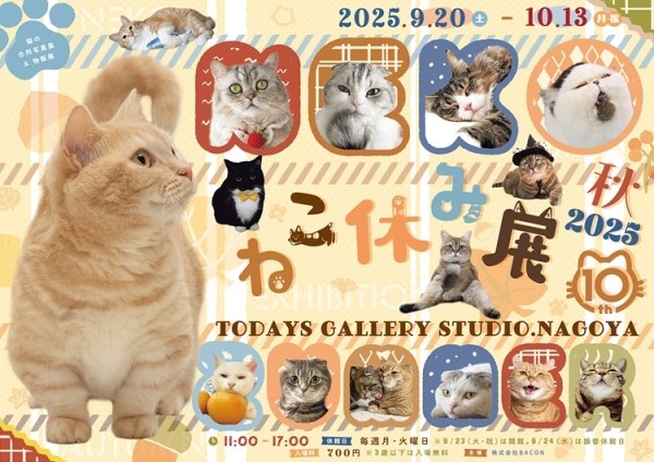 猫だらけの合同写真展＆物販展「ねこ休み展」新栄で9月20日から10月13