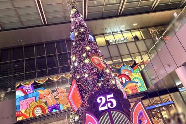 タワーズ25周年記念の巨大クリスマスツリーも登場！名古屋駅前を彩る