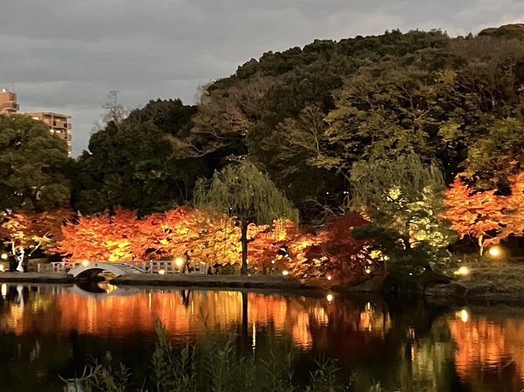 日本庭園を紅葉が彩る特別期間「錦を纏う 徳川園紅葉祭」11月14日より